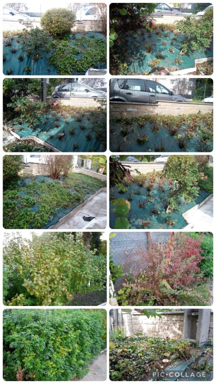 REMISE EN ETAT DE MASSIFS