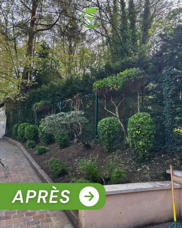 Remise en état complète d’un massif et de ses végétaux